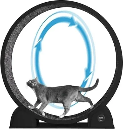 Roue d'exercice pour Chat 114 cm avec Compteur de Pas