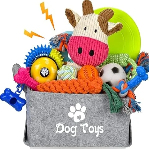 LECHONG Lot de 21 jouets de démarrage pour chiot - Jouets à mâcher enrichis avec boîte à jouets pour chien - Jouets de dentition pour chiots de 8 semaines à 12 semaines - Pour jouer et dresser les