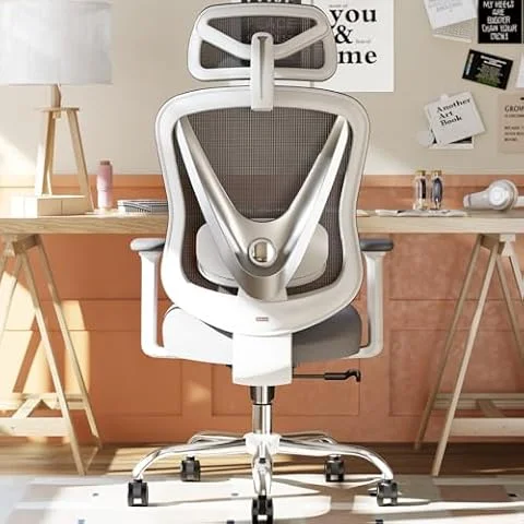 HOLLUDLE Chaise de Bureau Ergonomique avec Support Lombaire 3D & accoudoirs 3D réglables – Design en V du Dos, Fauteuil de Bureau Confortable pour Bureau et Maison, Blanc